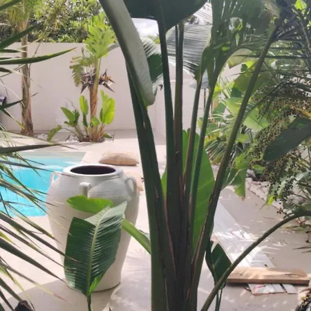 La Maison De Marie A 8 Mn Des Plages Couette-café Perpignan