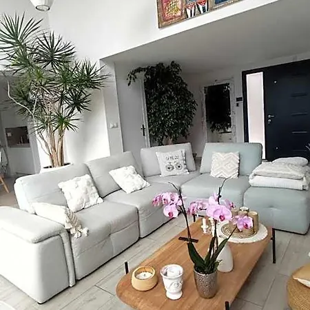 فندق مبيت وإفطار La Maison De Marie A 8 Mn Des Plages بيربينيو