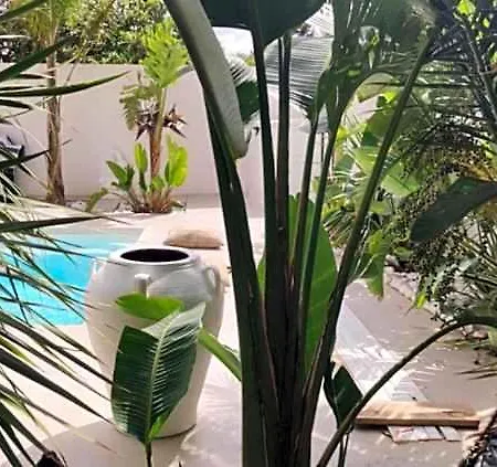 فندق مبيت وإفطار La Maison De Marie A 8 Mn Des Plages 3*